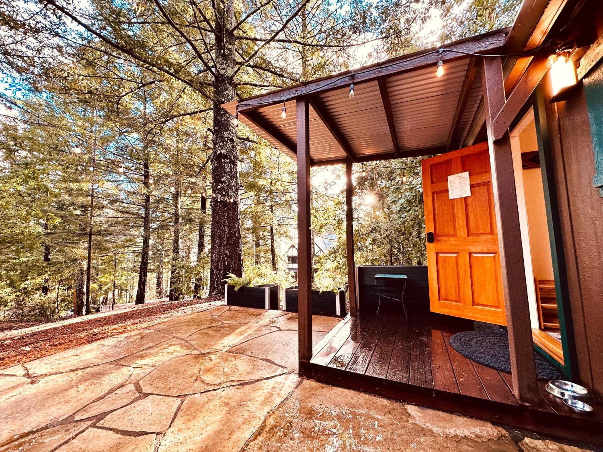 Tranquil Mountain Refuge In Santa Cruz